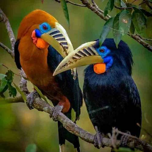 مهدی خزایی من یادم میمونه کی میزد آتیشو به این خونه